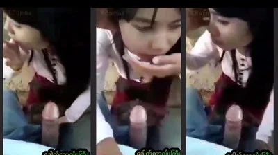 ဆော်က တော်ပြီပြောတာကို ပြီးအောင် စုပ်ခိုင်းတဲ့ ဘဲကြီး – နောက်ဆုံးထွက်လိခ်ကားများ