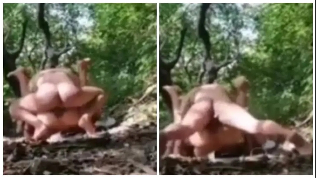 တောတွင်း လိုးပွဲဆင်နွှဲတဲ့ စုံတွဲ – Myanmar Video